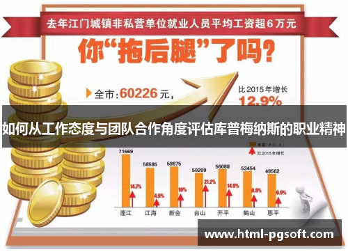如何从工作态度与团队合作角度评估库普梅纳斯的职业精神