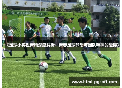 《足球小将世青篇深度解析：青春足球梦想与团队精神的碰撞》