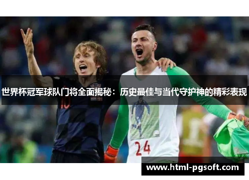 世界杯冠军球队门将全面揭秘：历史最佳与当代守护神的精彩表现
