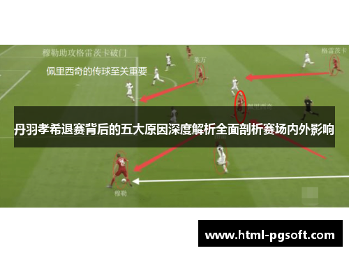 丹羽孝希退赛背后的五大原因深度解析全面剖析赛场内外影响
