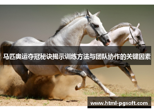 马匹奥运夺冠秘诀揭示训练方法与团队协作的关键因素