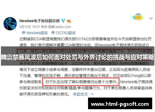 魏震禁赛风波后如何面对处罚与外界讨论的挑战与应对策略