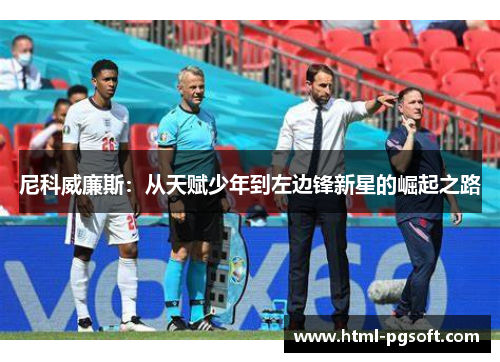 尼科威廉斯：从天赋少年到左边锋新星的崛起之路